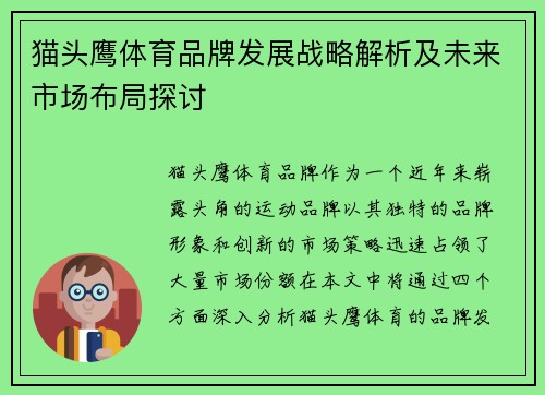 猫头鹰体育品牌发展战略解析及未来市场布局探讨