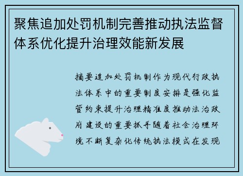 聚焦追加处罚机制完善推动执法监督体系优化提升治理效能新发展
